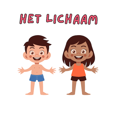 Collectie van lesmaterialen met onderwerp Het lichaam van auteur deklasvankaat