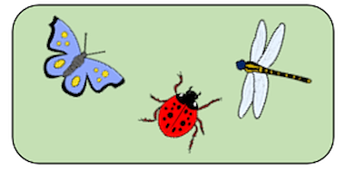 Collectie Kriebeldiertjes van onderwijs lesmaterialen van auteur Jabbedabbedoe