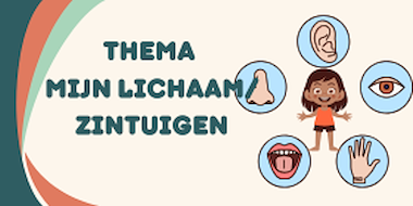 Collectie Thema-mijn-lichaam-en-zintuigen van onderwijs lesmaterialen van auteur Noallie