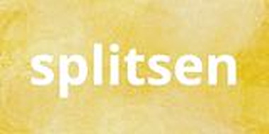 Collectie Splitsen van onderwijs lesmaterialen van auteur de beweegjuf